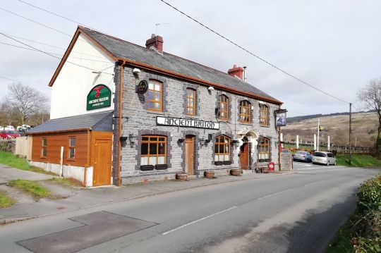 The Ancient Briton, Ynyswen