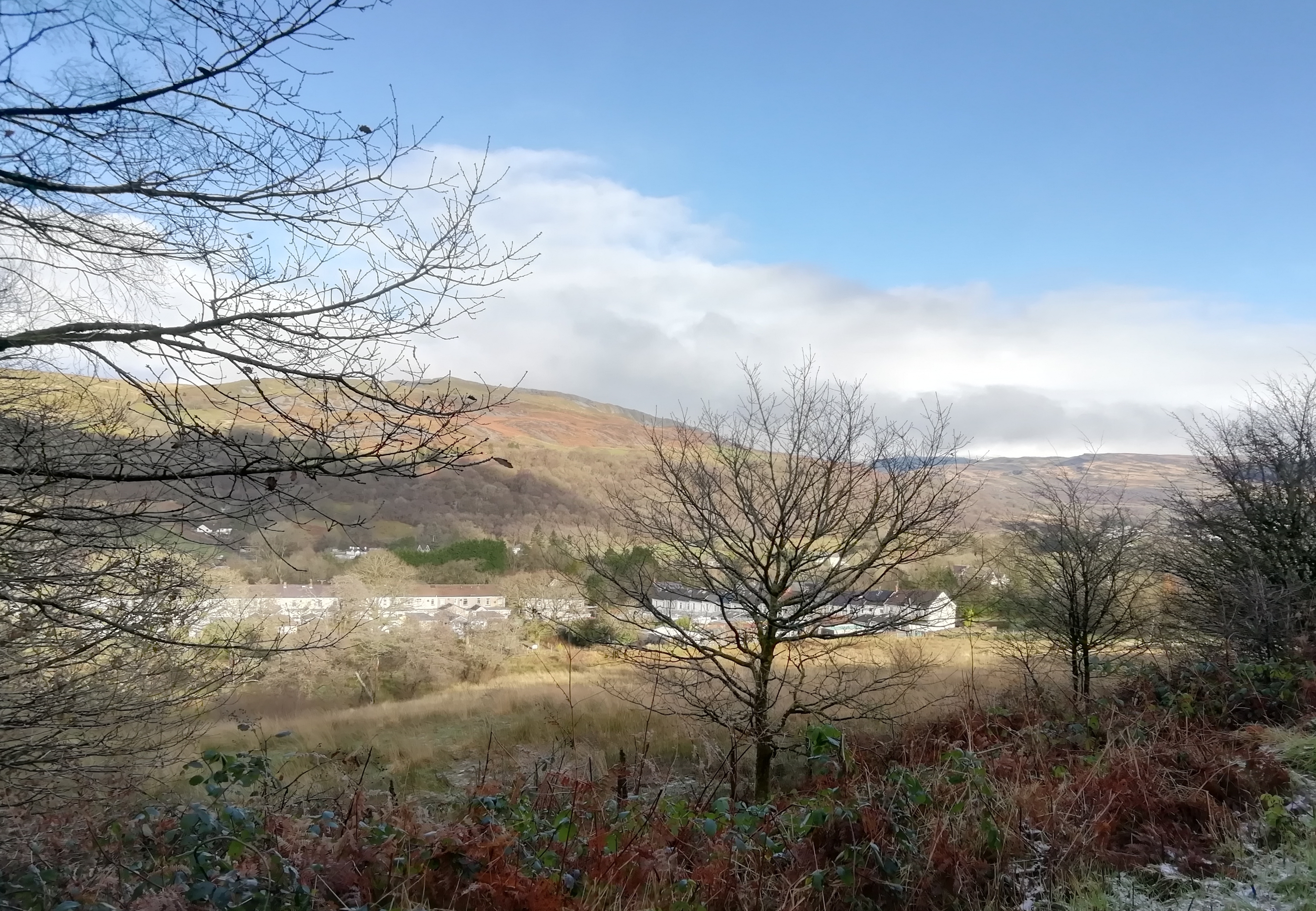 Cae Hopkin, seen from the old railway line