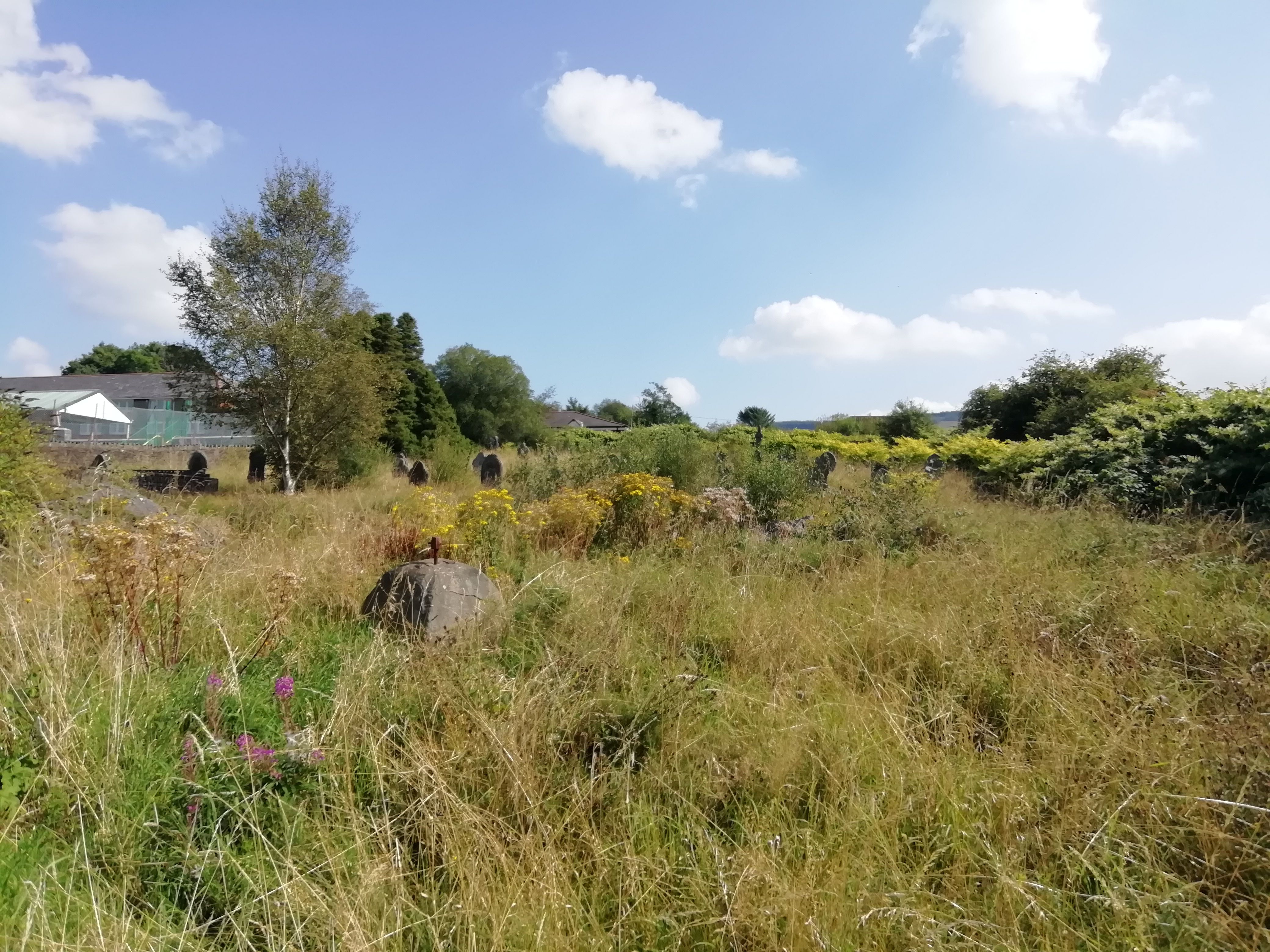 The graveyard behind